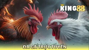 đá gà trực tuyến king88