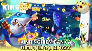 bắn cá king88