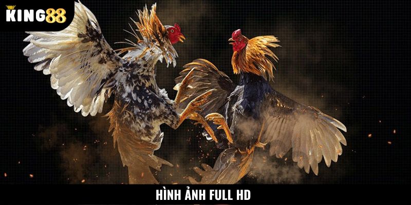 Hình ảnh được phát sóng Full HD